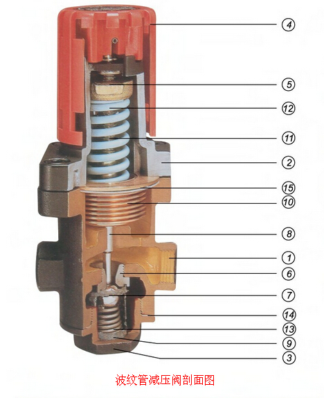 波紋管減壓閥剖面圖